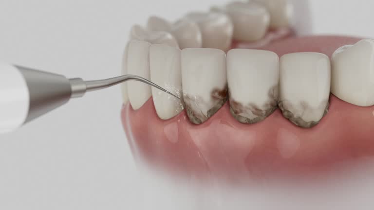 Reliable Dental contractor in Brunswick, MD by Dentist Open Now